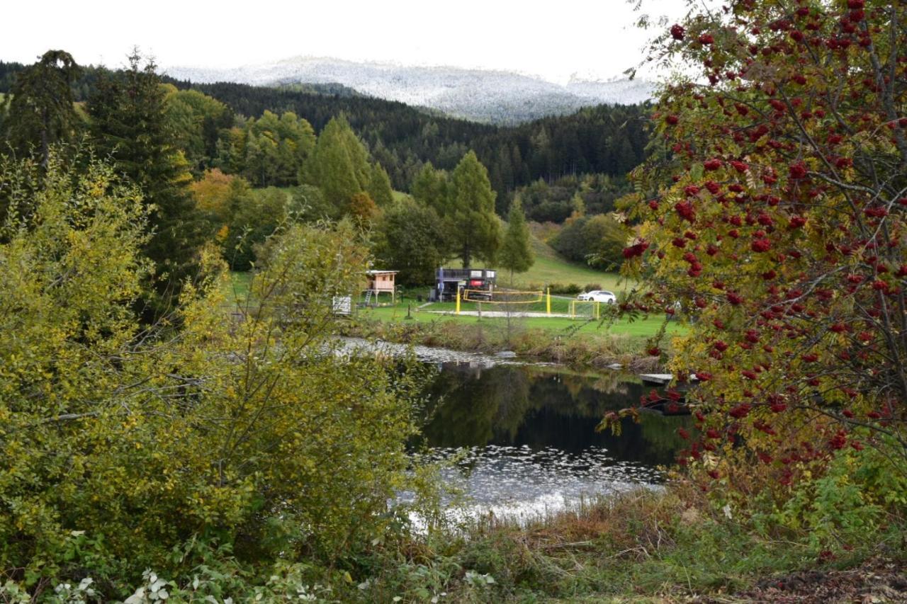 Ferienwohnung Familie Pichler Neumarkt in Steiermark Экстерьер фото