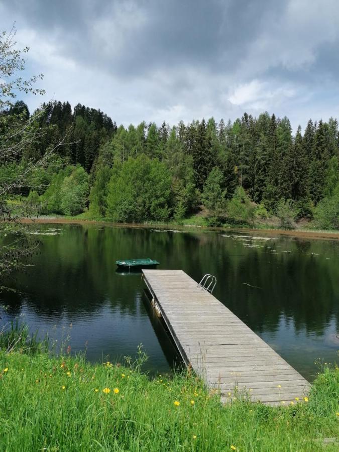 Ferienwohnung Familie Pichler Neumarkt in Steiermark Экстерьер фото