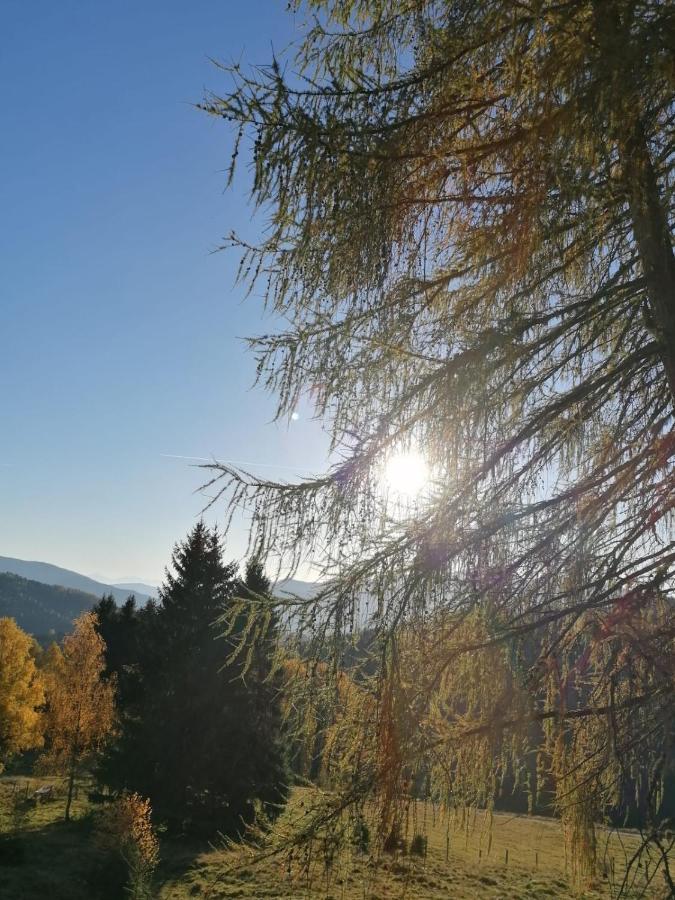 Ferienwohnung Familie Pichler Neumarkt in Steiermark Экстерьер фото