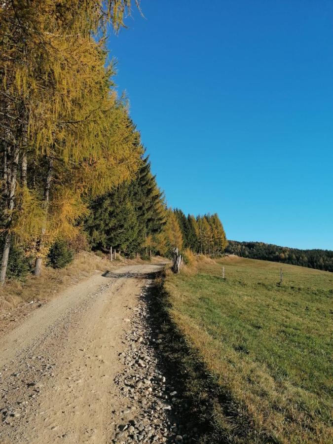 Ferienwohnung Familie Pichler Neumarkt in Steiermark Экстерьер фото